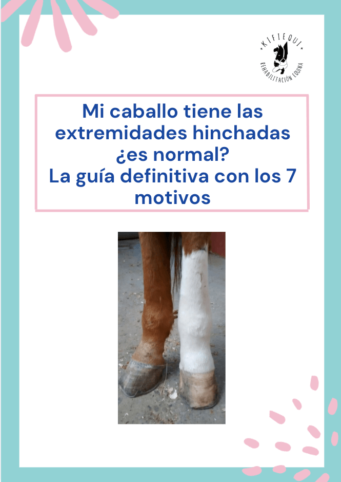 Portada de la guía: Mi caballo tiene las extremidades hinchadas ¿es normal?