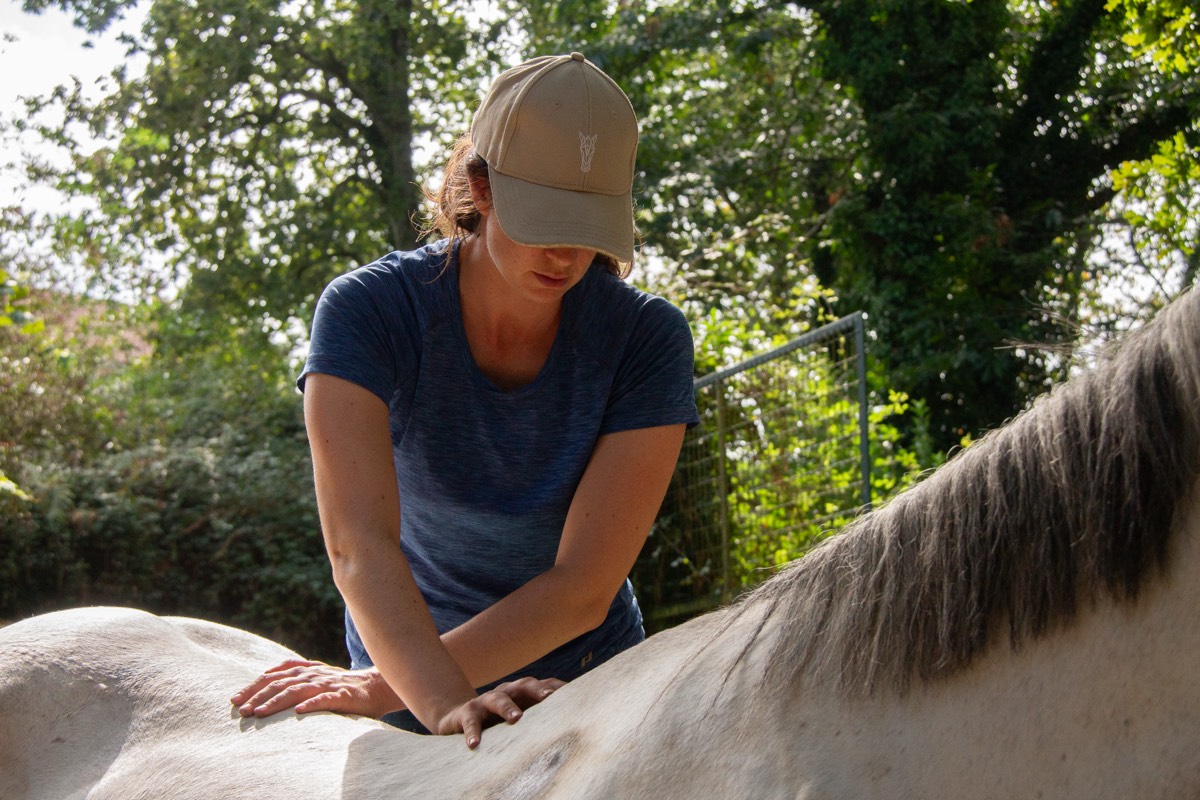 María palpando el dorso de un caballo tordo